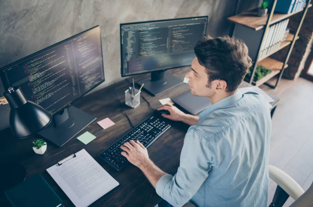Web development